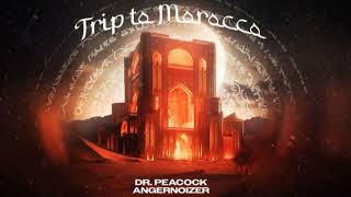 Dr Peacock amp Angernoizer  Trip to Morocco Out Now [upl. by Imoian391]