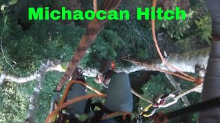 TREE REMOVAL MICHOACAN HITCH [upl. by Youlton371]