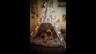 DIY Tipi für Hunden amp Katzen nähen [upl. by Einahpets380]