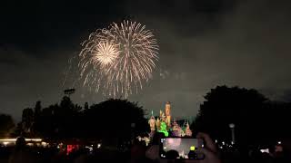 Fireworks at Disneyland [upl. by Nortal]