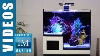 NUVO Concept Drop Off Aquarium  Abyss Panorama Glass Series [upl. by Furgeson]