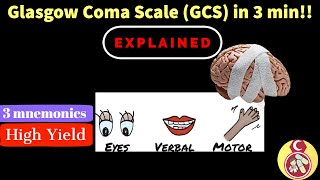 Glasgow Coma Scale GCS  شرح بالعربي في ثلاثة دقايق [upl. by Gent]