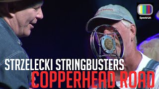 Strzelecki Stringbusters  Copperhead Road November 2017 [upl. by Aisha]