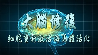 音樂治療 大腦修復528HZ 額葉激活 海馬刺激 大腦激活 增強集中力 記憶力 注意力改善大腦的音樂  智力UP 記憶力UP 【重製】適用學習、工作背景音樂  02 [upl. by Zephaniah]