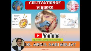 Medical VirologyCultivation of Viruses Lecture08 [upl. by Anyel]