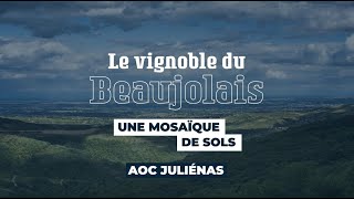 Juliénas cru du Beaujolais  Le vignoble du Beaujolais une mosaïque de sols [upl. by Peedus]