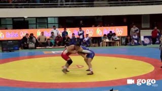 Mongolian Wrestling Championships 2016 [upl. by Ardnued]