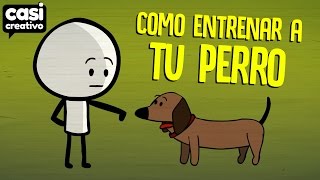 Cómo entrenar a tu perro  Casi Creativo [upl. by Euqinim]