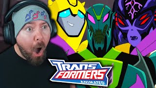 WASPINATOR IS BORN FIRST TIME WATCHING  Transformers Animated Season 3 Episode 7 REACTION [upl. by Yclehc]