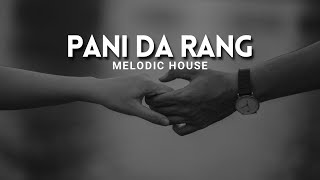 Pani Da Rang  Remix  Melodic House  Debb [upl. by Ssirk338]