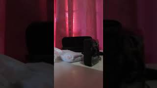 PULUZ OneTriggerTwo Wireless Microphone Clipon Mic 10M  Unboxing [upl. by Hanaj]