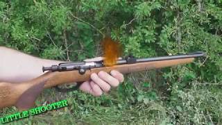 FLOBERT CARBINE SPIELBERG BRNO 200F BIG HOLE 75J [upl. by Rj]