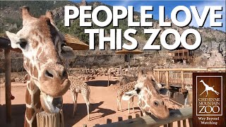 Discover Cheyenne Mountain Zoo Make the Most of Your Visit [upl. by Aydan]