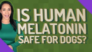 Is human melatonin safe for dogs [upl. by Aryt]