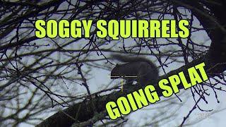 SQUIRREL HUNTING IN THE WORST CONDITIONS EVER [upl. by Ahseetal]