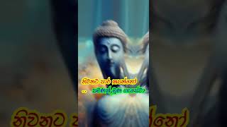 සාදු සාදු සාදු🙏🙏🙏niwanatamanpetha quotes buddha niwana niwanata 💞💕🙏 love [upl. by Einnij]