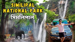 We Visited Similipal Tiger Reserve National Park  Simlipal Forest Safari  Odisha [upl. by Ailel]