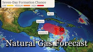 November 13 Natural Gas Analysis and Forecast [upl. by Ocram]