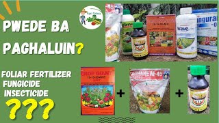 Pwede bang paghaluin ang Foliar Fertilizer Insecticide at FungicideCompatibility [upl. by Pauly307]