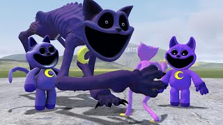 NEW CATNAP MONSTER POPPY PLAYTIME CHAPTER 3 In Garrys Mod [upl. by Gweneth]