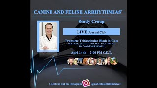 J CLUB ON TRIFASCICULAR BLOCK IN CATS [upl. by Francis]