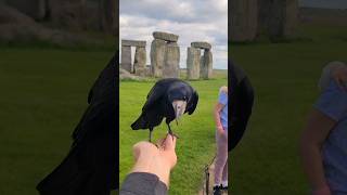 Why Stonehenge Was Built [upl. by Danialah237]