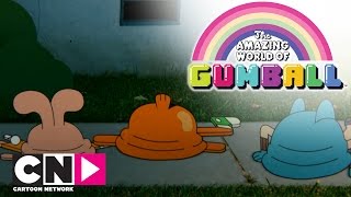 Chi è stato  Lo straordinario mondo di Gumball  Cartoon Network [upl. by Urbano]