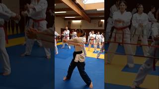 Travail Tronc et Gainage attrainingfit martialarts sports shorts karate tkd taekwondo abdo [upl. by Ettelracs877]