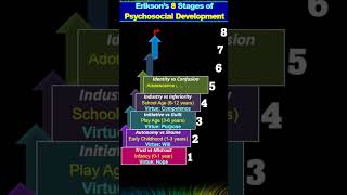 Erikson’s 8 Stages of Psychosocial Development  shorts viral youtubeshorts [upl. by Cacilia]