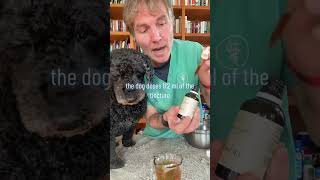 Dog with chronic ear infection Canesten not working 3 steps to treat infection at home [upl. by Reeve823]