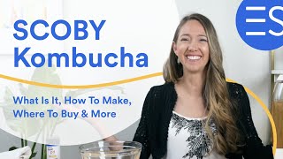 Kombucha SCOBY  What It Is How To Make Where To Buy amp More [upl. by Flor489]