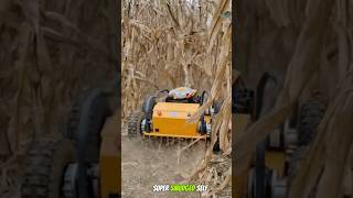 The Smartest SelfPropelled Lawn Mower – No Supervision Needed [upl. by Apfelstadt]