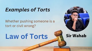 Example of Torts  Whether pushing someone is a tort  Law of Torts [upl. by Eecyak]