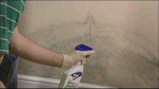 How to remove mould from walls and ceilings [upl. by Agbogla525]