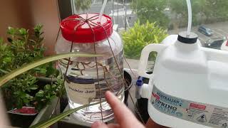 How to keep your plants watered while youre away [upl. by Jedd]