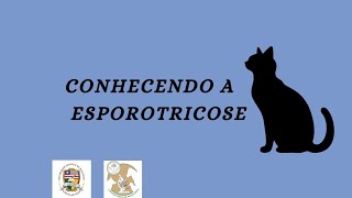 QUAL A IMPORTÂNCIA DO MÉDICO VETERINÁRIO NO TRATAMENTO DA ESPOROTRICOSE FELINA [upl. by Bryna]