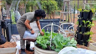 Dont miss THIS garden video The best SURPRISE gardentour [upl. by Nahama]