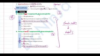 Glomerulonephritis revision [upl. by Ekard]