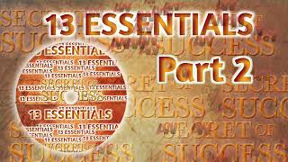 13 ESSENTIALS PART 2  Amway Diamond Success Story  Hindi  BWW CD  Amway Diamond  Amway BWW CD [upl. by Elletse]