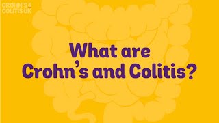 What are Crohns and Colitis [upl. by Mairam593]