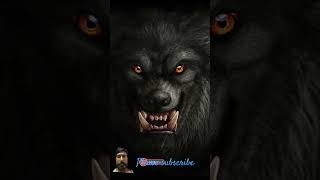 wolf wolfsong lion werewolf dog wolfsounds [upl. by Zobe]