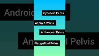 Types of Pelvis l Pelvis Types l Female Pelvis pelvistypesofpelvisobgynmedicalnorcetnursing [upl. by Suidaht]