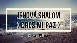 🔵 JEHOVÁ SHALOM ERES MI PAZ con Letra New Wine [upl. by Abehshtab724]