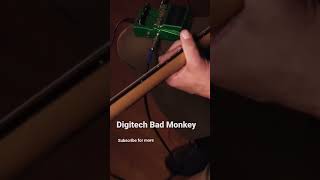 Digitech Bad Monkey guitarshorts [upl. by Eerhs8]