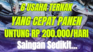 6 USAHA TERNAK YANG CEPAT PANEN UNTUNG 200 RIBU SEHARI YANG MENJANJIKAN Peluang Usaha Peternakan [upl. by Etnelav]