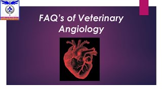 FAQs of Veterinary Angiology 🫀 most imp questionsvetanatomyfaq veterinaryangiology on tips [upl. by Aikemat48]