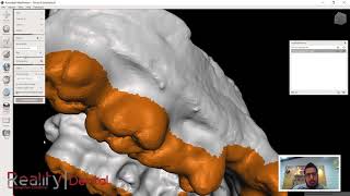 Reality Dental  Diseño 3D de Ferula o Splint Dental con Autodesk Meshmixer [upl. by Milissa393]