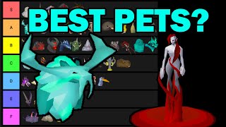 Pet Hunter Tier List Bosses Skilling Etc OSRS [upl. by Htebsil313]