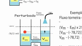 Biofísica de Membranas  Aula 25  Bioeletrogenese 10 [upl. by Aural786]