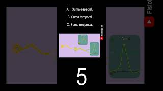 Sistema nervioso  Preguntas y respuestas del sistema nervioso  Fisiología nerviosa [upl. by Anifares990]